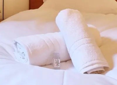 a roll of toilet paper and a bottle of insulin at Rosa Apartments City Center in Merano