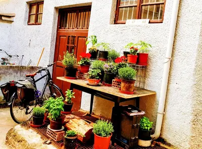 a table with potted plants on it next to a building at Rosa Apartments City Center in Merano