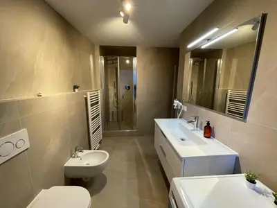a bathroom with a sink and a toilet and a shower at Rosa Apartments City Center in Merano