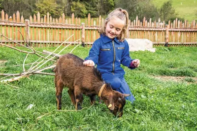 a little girl sitting on top of a small goat at Familienhotel Huber in Valles