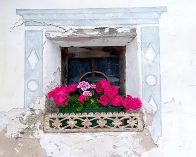 a window with a flower box with pink flowers at Lü de Rü in San Vigilio Di Marebbe