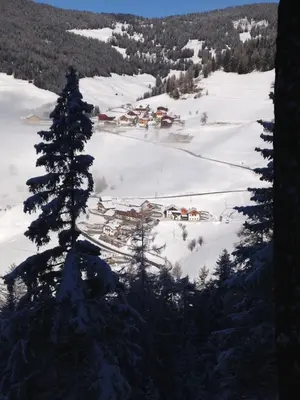 a small village in the snow with a tree at Lü de Rü in San Vigilio Di Marebbe