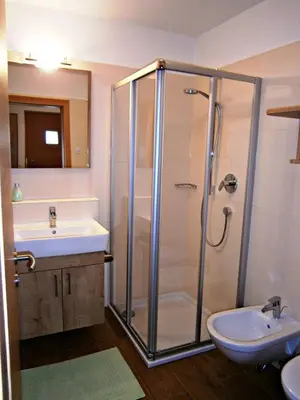a bathroom with a shower and a sink at Lü de Rü in San Vigilio Di Marebbe