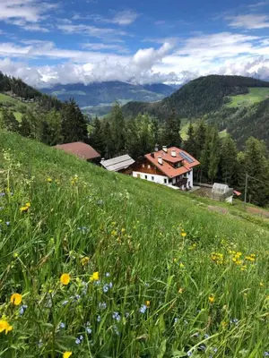 a field of flowers on a hill with a house at Ringgelinhof Onach in San Lorenzo di Sebato