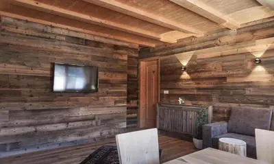 a living room with wooden walls and a flat screen tv at Apartments Ciastel in San Vigilio Di Marebbe