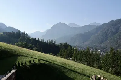 a grassy hill with trees and mountains in the background at Apartments Ciastel in San Vigilio Di Marebbe