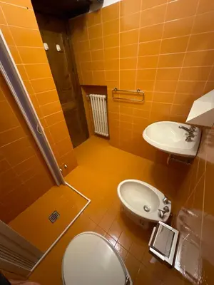 a bathroom with a toilet and a sink at Panoramic apartment 71 in San Martino di Castrozza