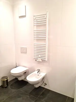 a white bathroom with a toilet and a sink at Apartment Emilie with parking historic city center in Merano