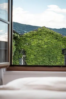 a window with green ivy on a building at Brixen City Maisonette in Bressanone