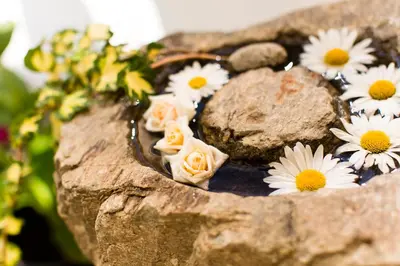 a rock with flowers growing out of it at Garni Appartment Wagnerhof in Rablà