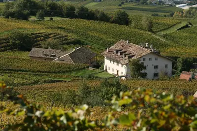 a village in the middle of a vineyard at Appartement im Grünweinhof in Montagna