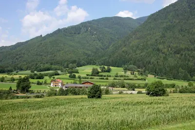 a farm in a field with mountains in the background at Bartlmairhof in San Giorgio