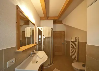 a bathroom with a sink and a shower and a toilet at Bartlmairhof in San Giorgio