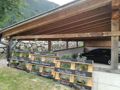 a wooden pergola with plants in pots at Bartlmairhof in San Giorgio