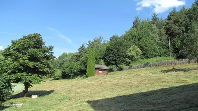 a grassy hill with a small building on it at Blasbichler Appartments in Brunico
