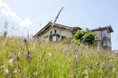 an old house on a hill with a field of flowers at Der Zirmerhof in Redagno