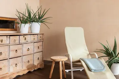 a chair and stool in a room with potted plants at Der Zirmerhof in Redagno