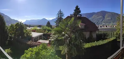 a house with a palm tree next to a fence at Apartment Hagen in Merano
