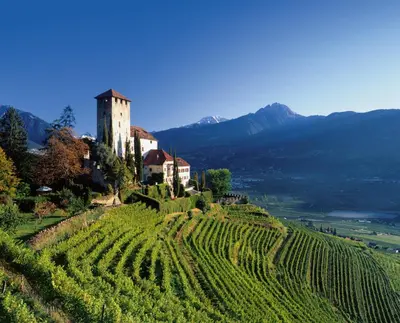 a castle on top of a hill with a vineyard at Alpina Residence in Naturno