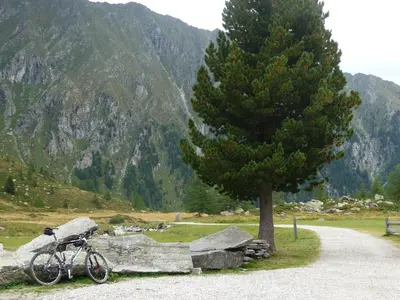 a bike parked next to a tree in a field at Apartments Ferdigg in San Lorenzo di Sebato