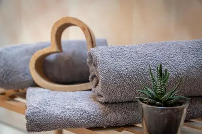 a pile of towels and a potted plant on a table at Trinnerhof- Hof Chalets und Obsthof in Naz-Sciaves
