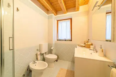a bathroom with a toilet and a sink and a shower at Charming Civetta in Alleghe