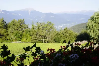 a field of green grass with mountains in the background at Gastreinhof in Meltina