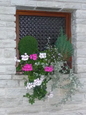 a window with flowers on a brick wall at Apartments Residence Alta Badia in Colfosco