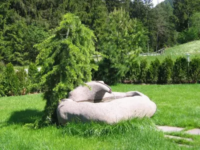 a sculpture of a tree in a field at Hotel Pausa in Montagna