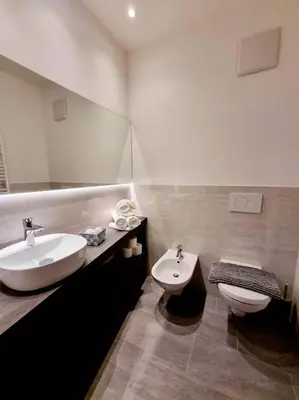 a bathroom with a sink and a toilet at Hotel Brückenwirt - Al Ponte in Montagna