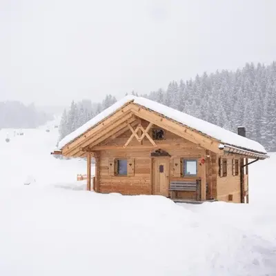 Chalet Silvesterhütte