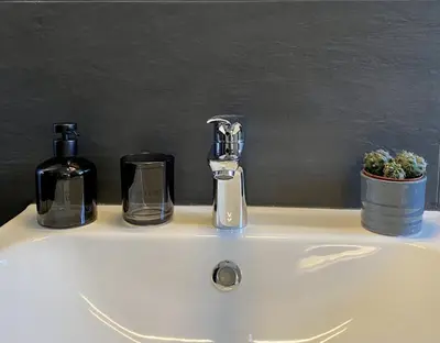 a bathroom sink with a bottle of soap and a soap dispenser at Galilei Apartment in Merano