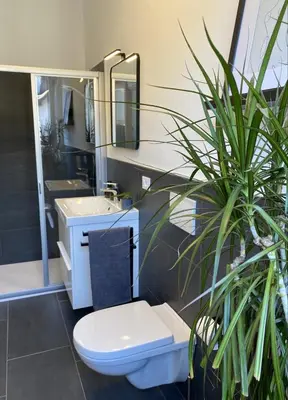 a bathroom with a toilet and a sink and a plant at Galilei Apartment in Merano