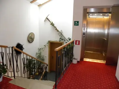a hallway with a door and a red carpet at Hotel B&B Martha in Brunico