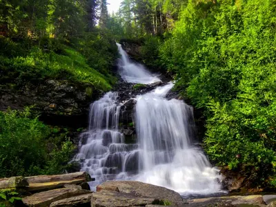 a waterfall in the middle of a forest at Ladurner Home in Brunico