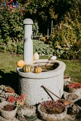 a bird bath in a garden with some plants at Peintnerhof Appartments & Zimmer in Naz-Sciaves