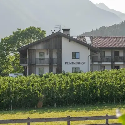 Peintnerhof Appartments & Zimmer