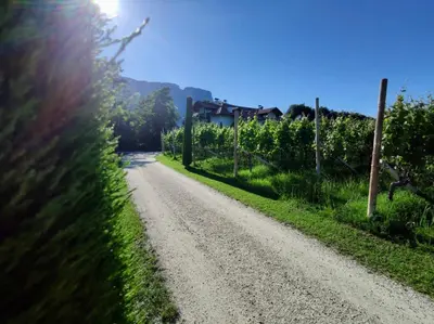 a dirt road with a house in the distance at Bühel im Gschleier in Appiano sulla Strada del Vino