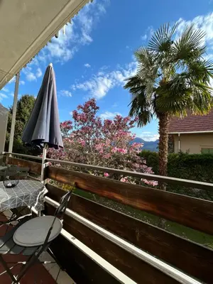 a balcony with a table and an umbrella and a palm tree at Apartment Mia in Merano