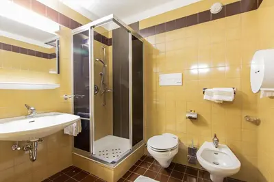 a bathroom with a sink and a toilet and a shower at GARNI AQUILA in Corvara in Badia