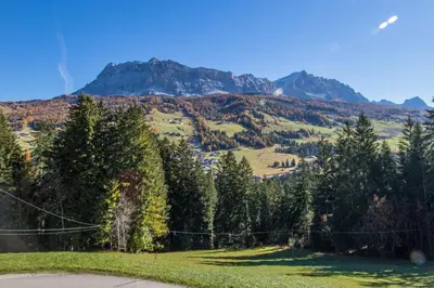 a hillside with trees and mountains in the background at Agriturismo Maso Runch in Badia