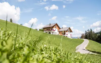 a house on the side of a hill with a road at Agriturismo Maso Runch in Badia