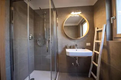 a bathroom with a shower and a sink and a mirror at Apartment Lulu in Selva di Val Gardena