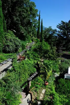 a garden with plants and trees on a hill at Villa Tivoli in Merano