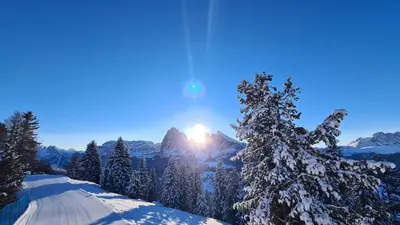 a snow covered tree on a mountain with the sun in the background at Planitzhof in Castelrotto