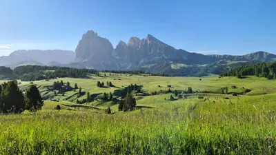 a green pasture with mountains in the background at Planitzhof in Castelrotto