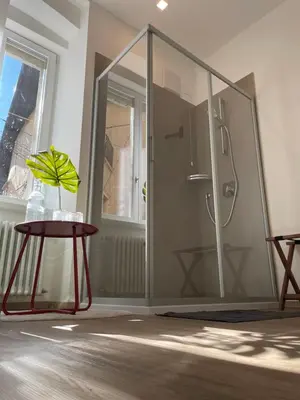 a bathroom with a shower and a table with a plant at Al Palazzo in Cles