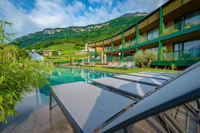 a hotel with a swimming pool with mountains in the background at VILLA NAJ in Termeno