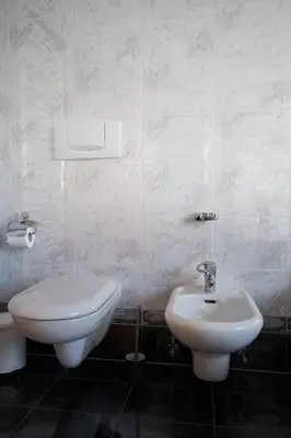 a bathroom with a toilet and a bidet at Landhaus Anita Dolomiten Kronplatz in Perca