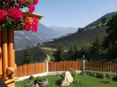 a fence with pink flowers and a view of a mountain at Waldoase in Schenna